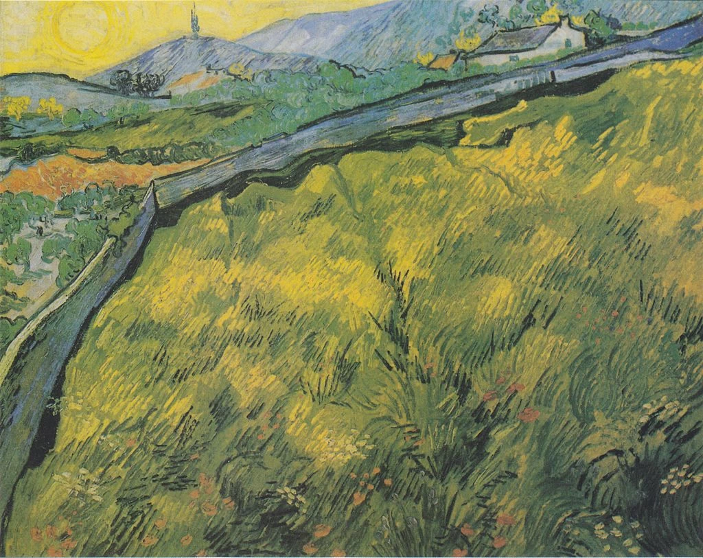  24-Vincent van Gogh-Campo di grano - Kröller-Müller Museum, Otterlo 